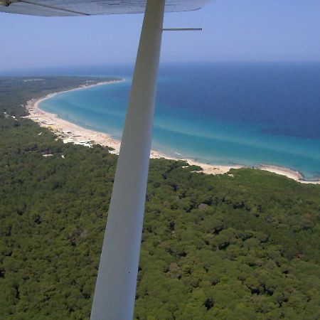 Linda Casa Vacanze Felline Zewnętrze zdjęcie